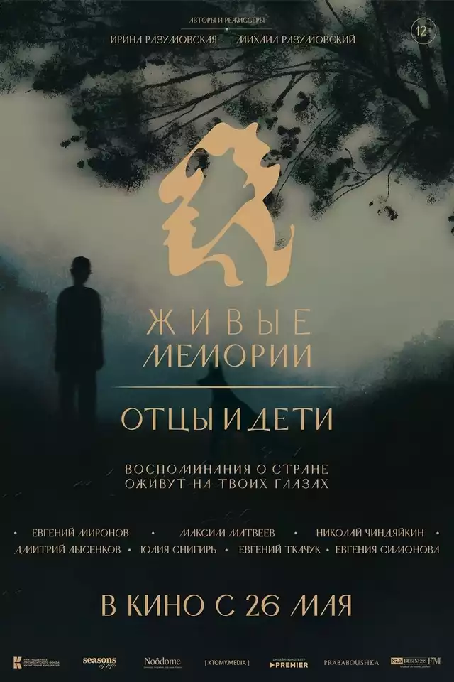 movie vertical poster fallback