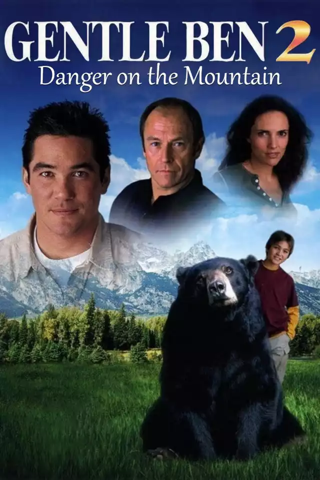 movie vertical poster fallback