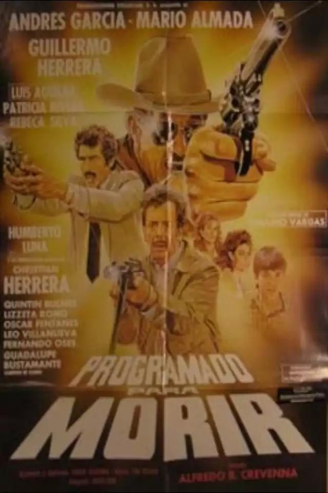 movie vertical poster fallback