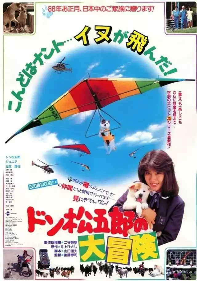 movie vertical poster fallback