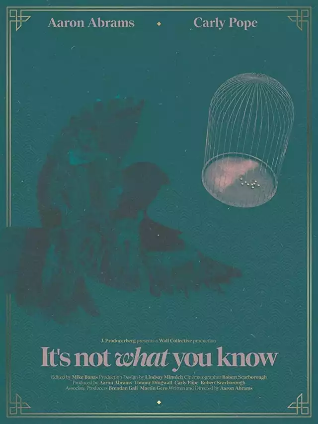 movie vertical poster fallback