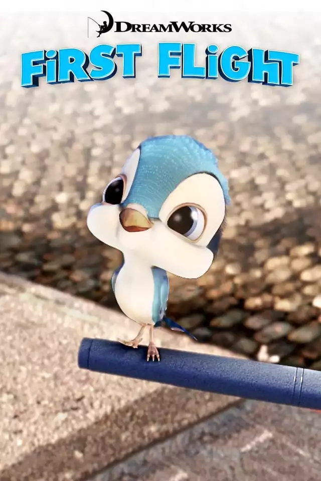 movie vertical poster fallback