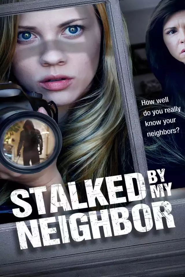 movie vertical poster fallback