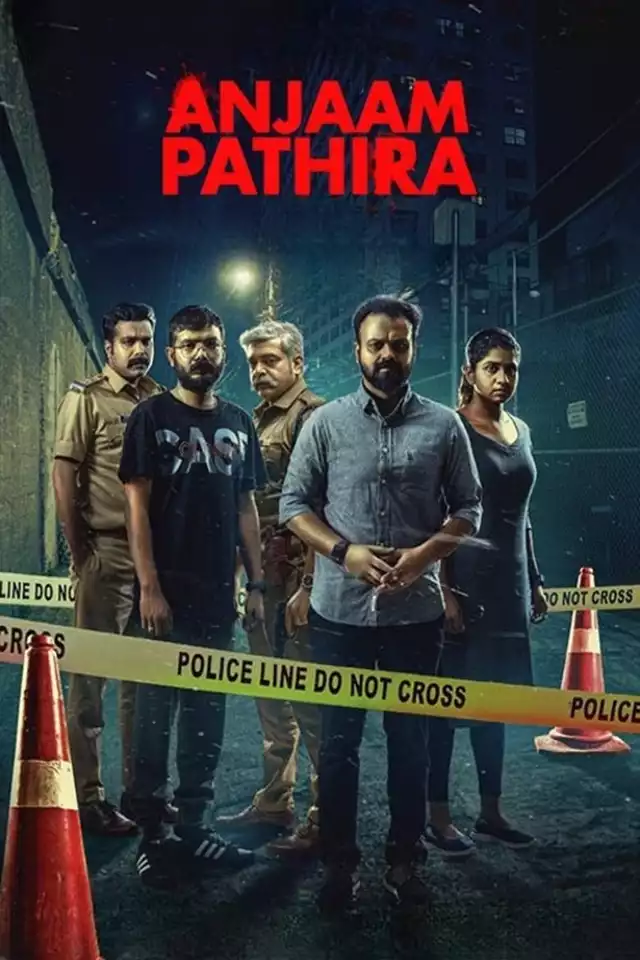 movie vertical poster fallback