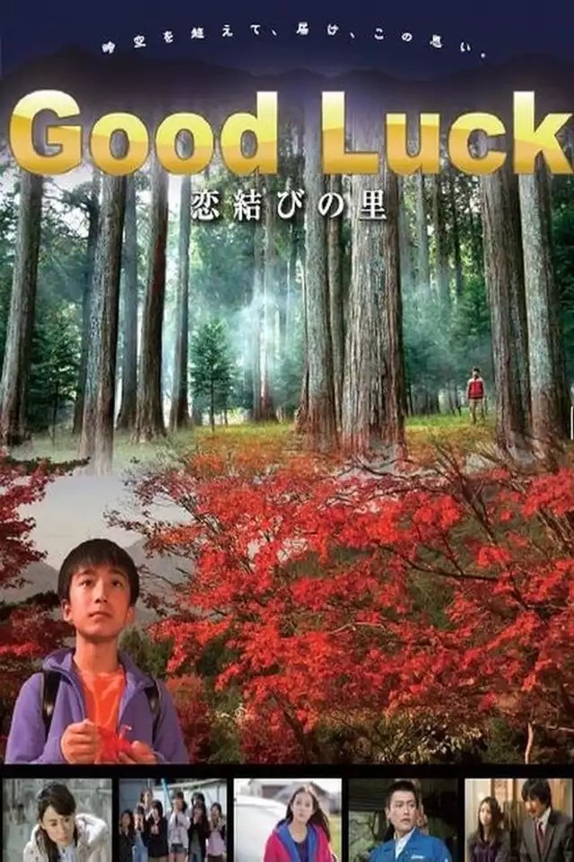 movie vertical poster fallback