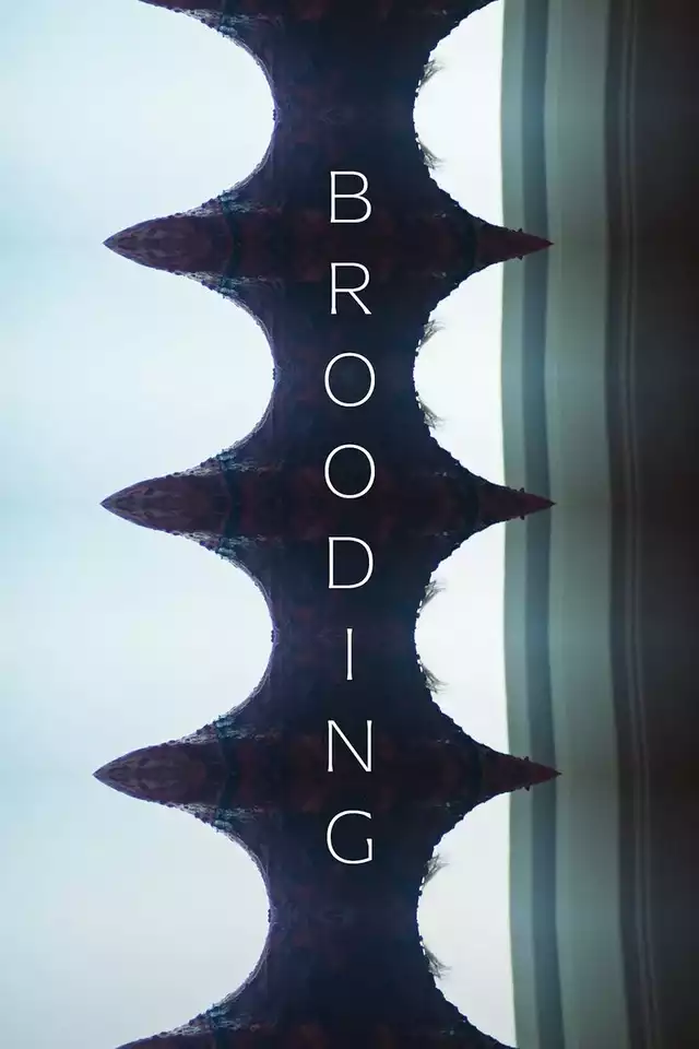 movie vertical poster fallback