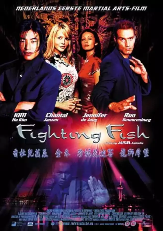 movie vertical poster fallback