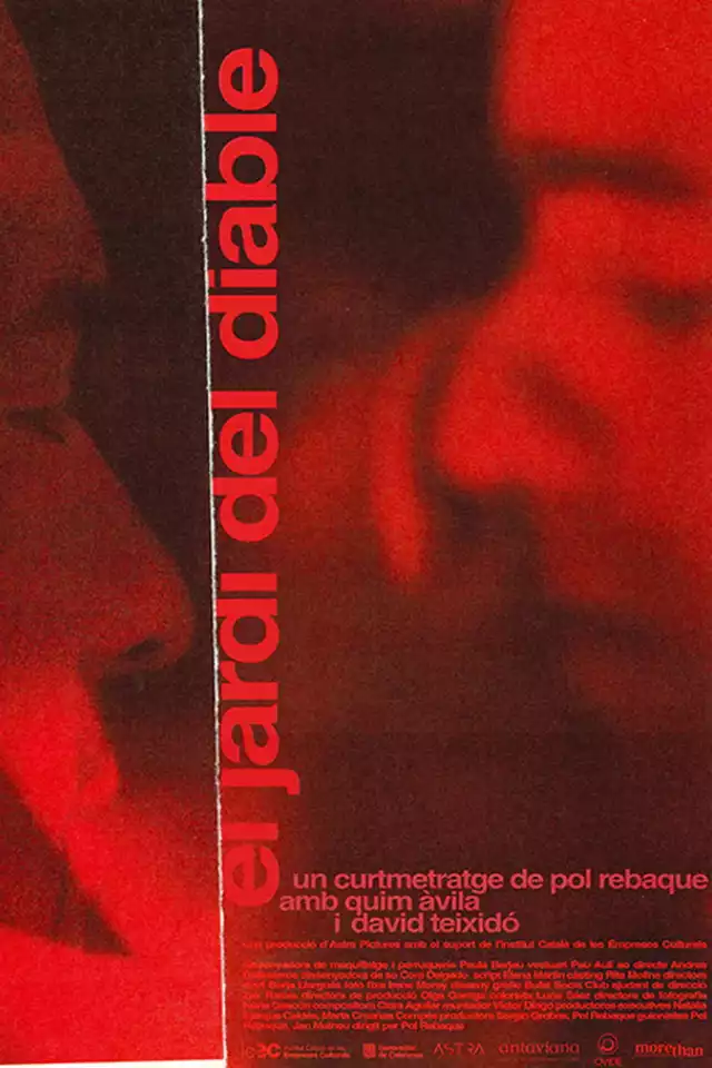 movie vertical poster fallback