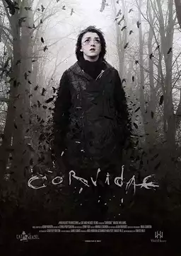Corvidae