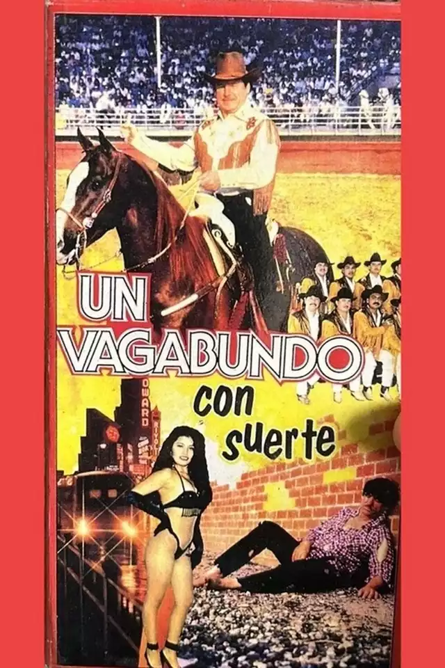 movie vertical poster fallback