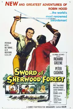 Sword of Sherwood Forest