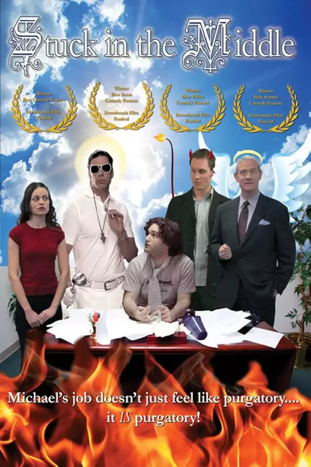 movie vertical poster fallback
