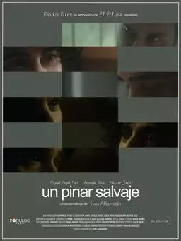 Un pinar salvaje