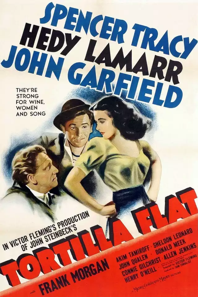movie vertical poster fallback