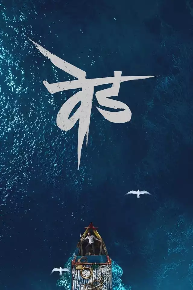 movie vertical poster fallback