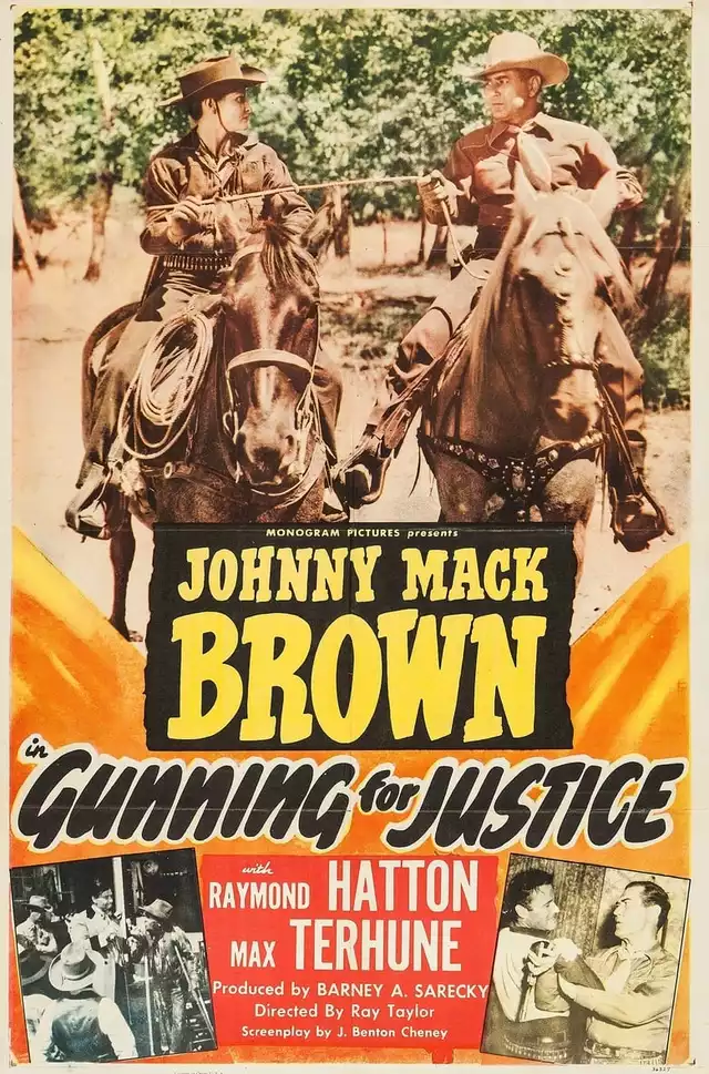 movie vertical poster fallback