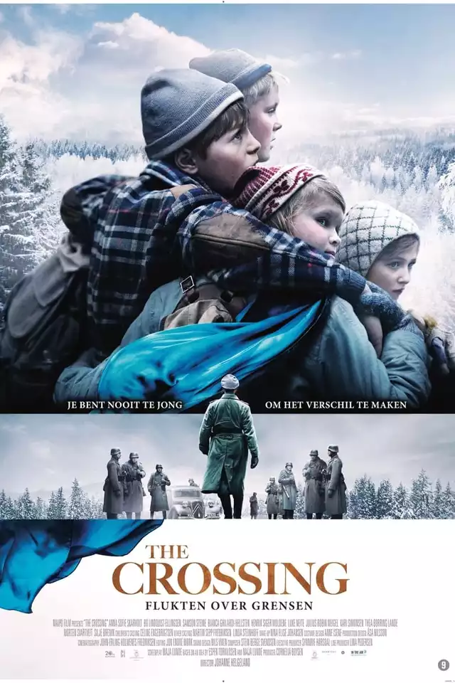 movie vertical poster fallback