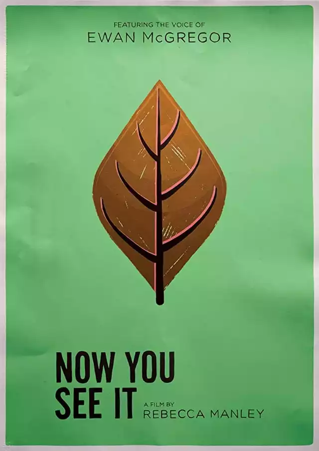 movie vertical poster fallback