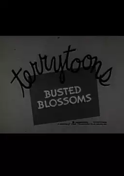 Busted Blossoms