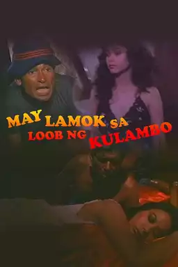 May Lamok sa Loob ng Kulambo