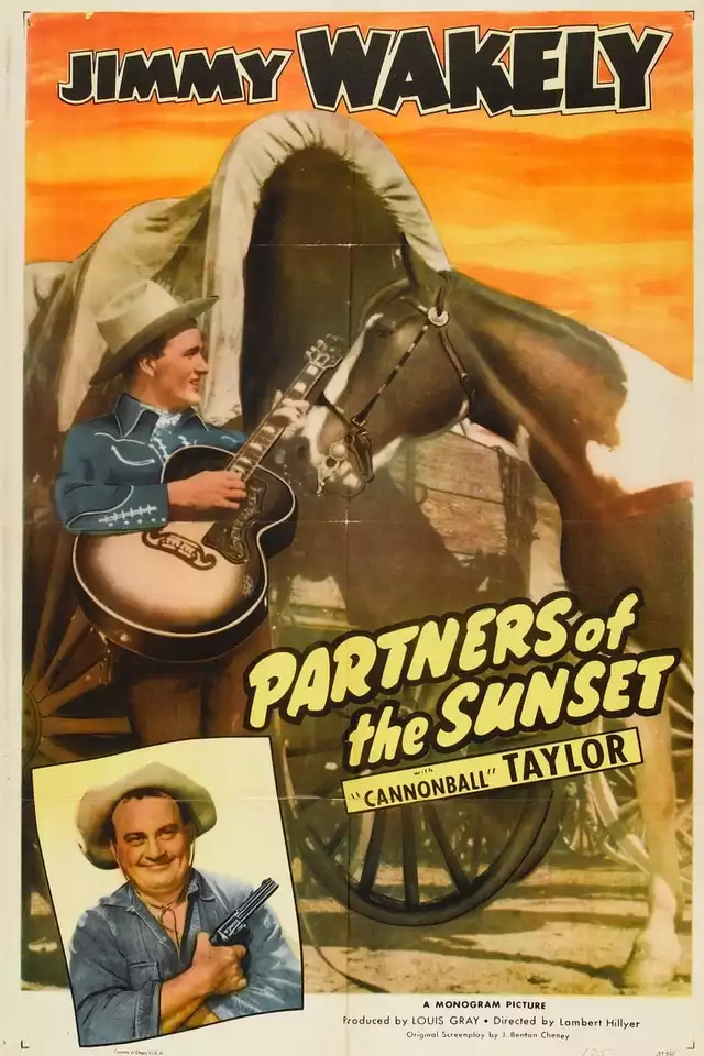 movie vertical poster fallback