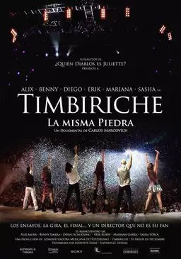 Timbiriche: The same stone