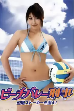 Beach Volleyball Detectives