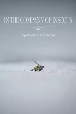 In the Company of Insects