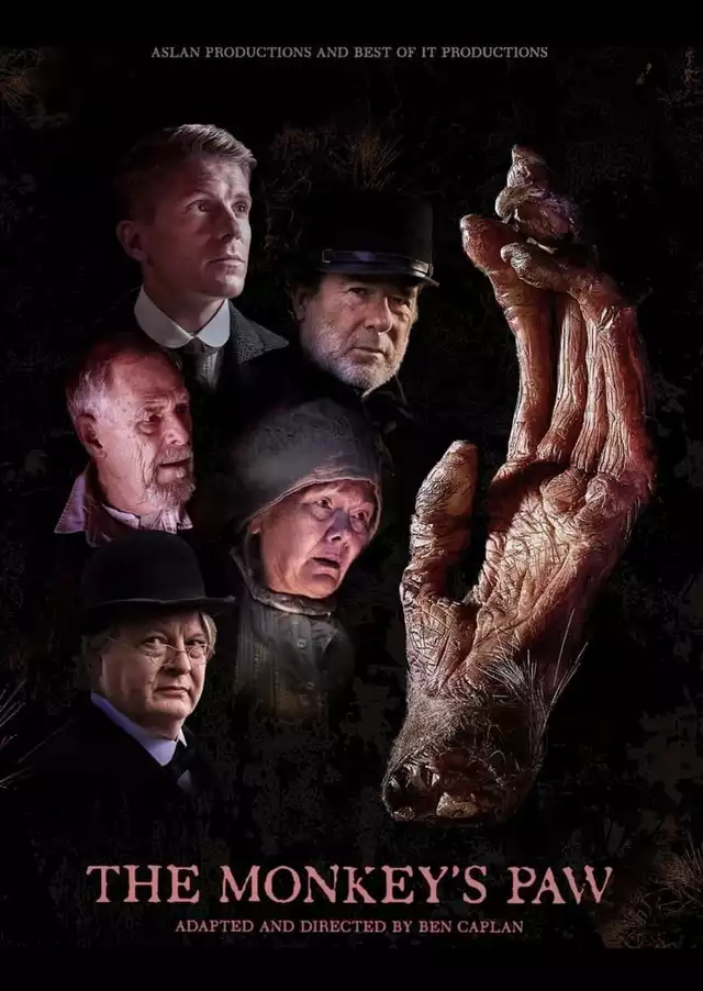 movie vertical poster fallback
