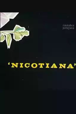 Nicotiana