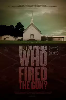 Did You Wonder Who Fired the Gun?