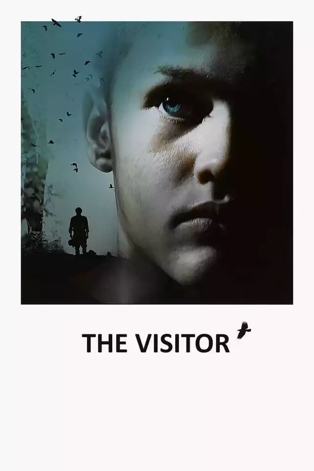movie vertical poster fallback