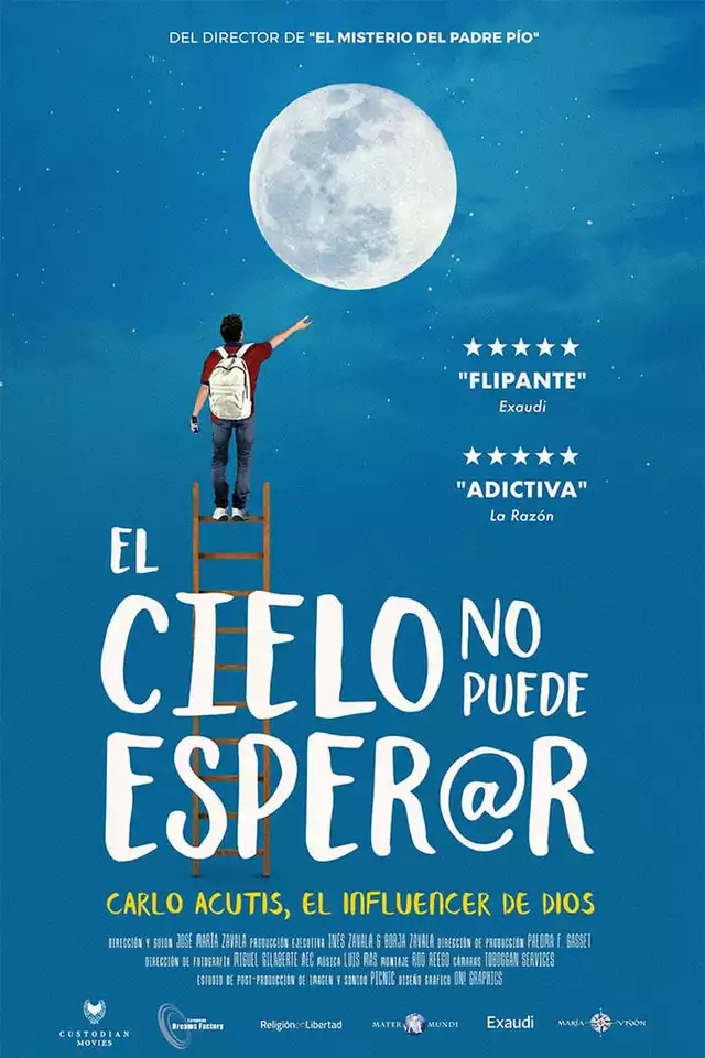 movie vertical poster fallback