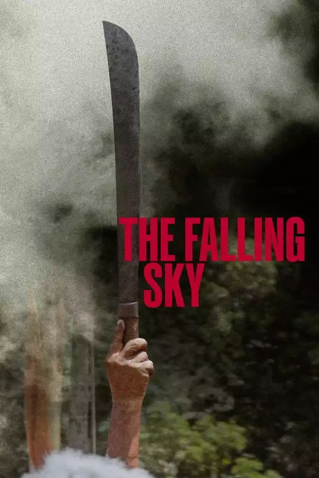 movie vertical poster fallback