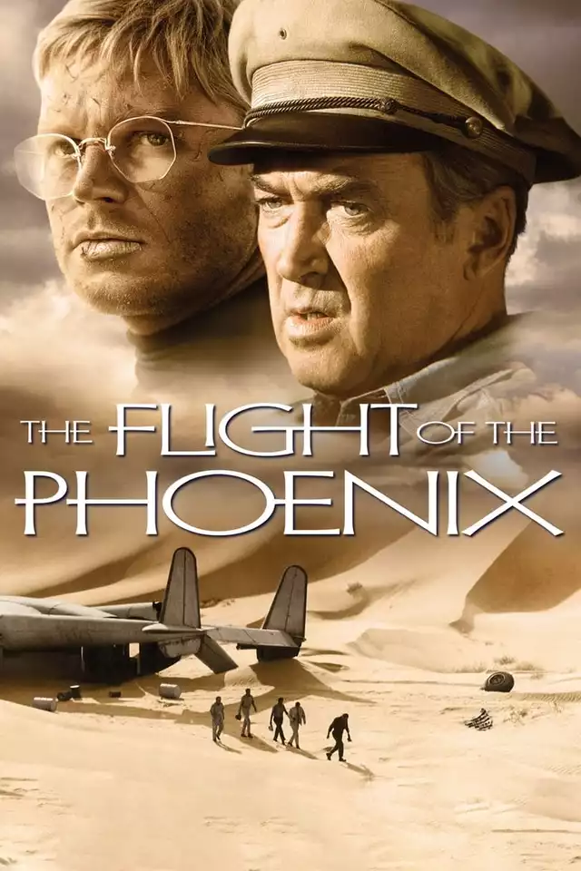 movie vertical poster fallback