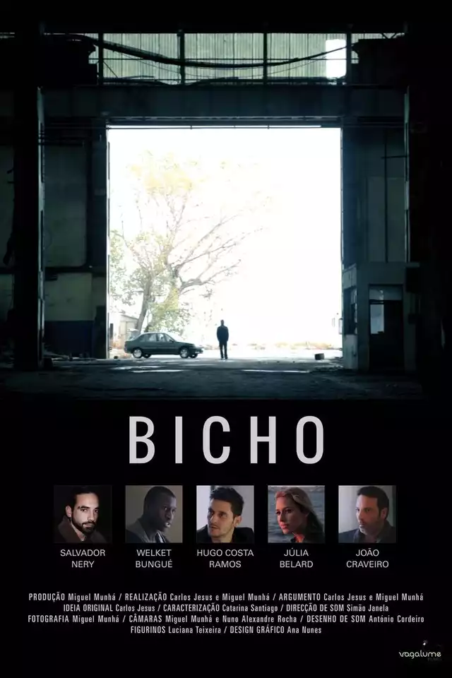 movie vertical poster fallback