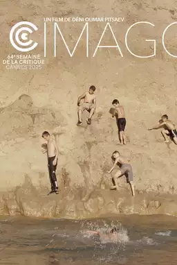 Imago