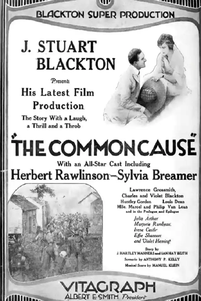 movie vertical poster fallback