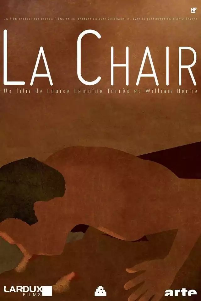 movie vertical poster fallback