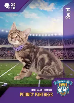 Kitten Bowl VIII Special