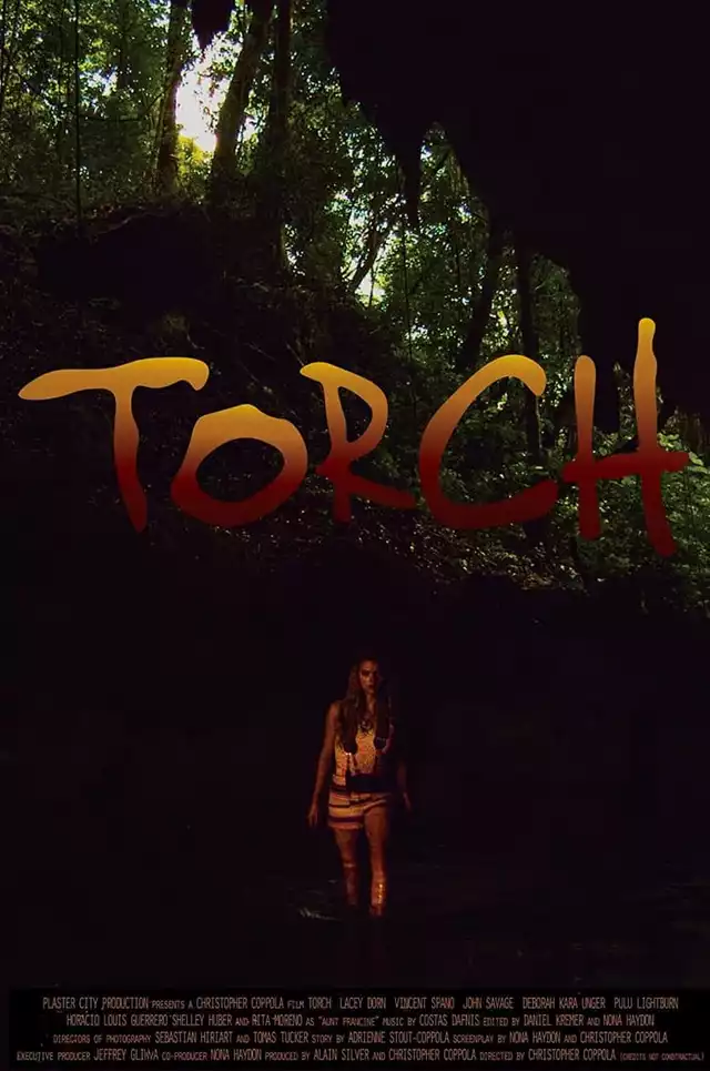 movie vertical poster fallback