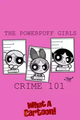 The Powerpuff Girls: Crime 101