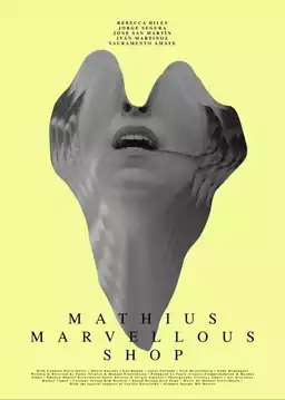 Mathius Marvellous Shop