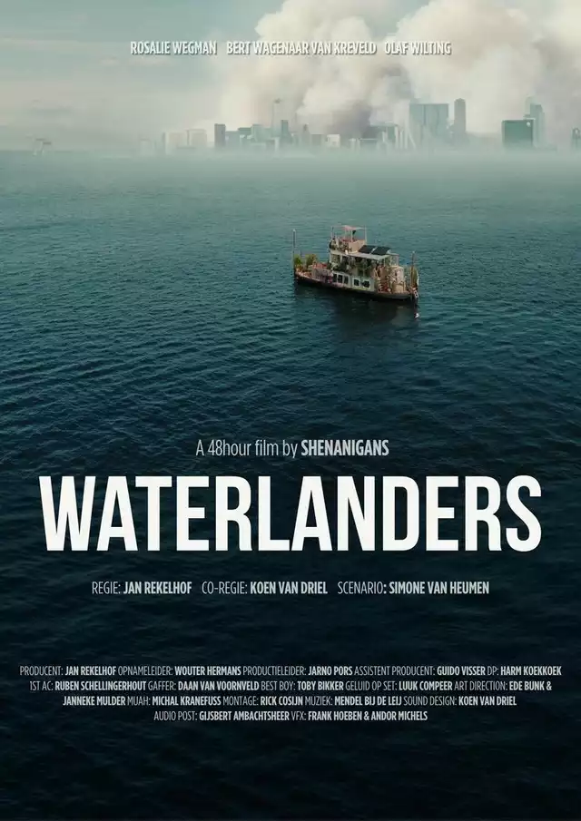 movie vertical poster fallback