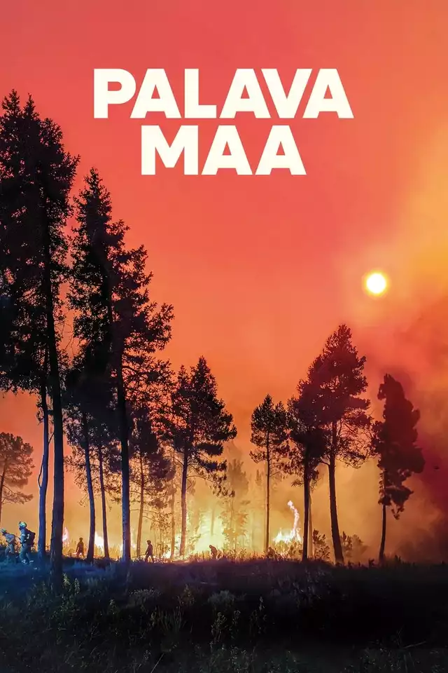 movie vertical poster fallback