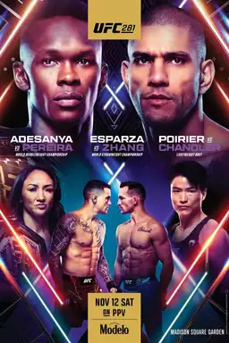 UFC 281: Adesanya vs. Pereira