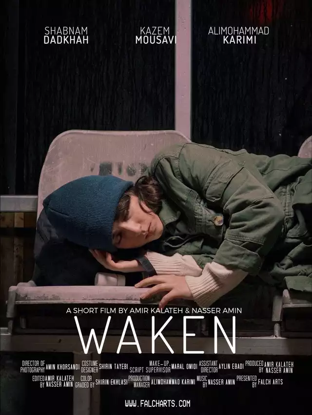 movie vertical poster fallback