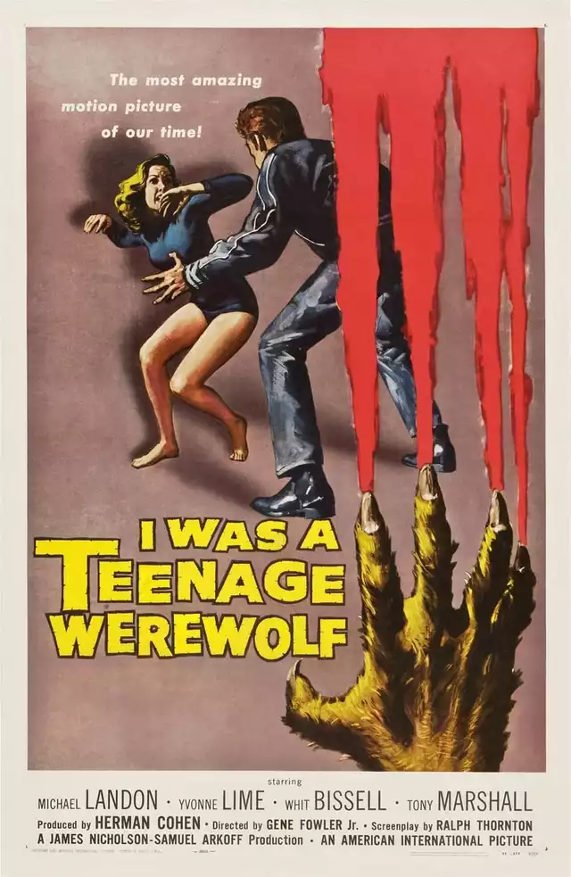movie vertical poster fallback