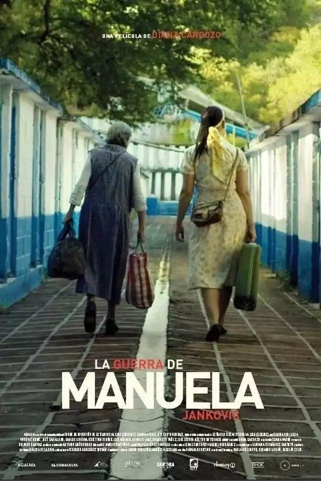 movie vertical poster fallback