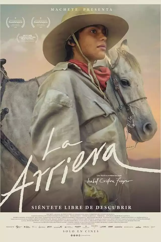 movie vertical poster fallback
